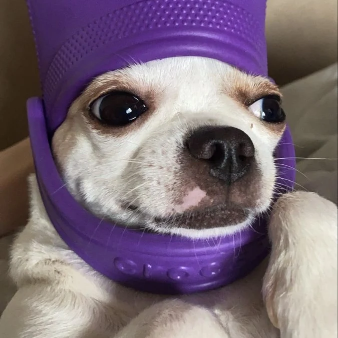 Wow