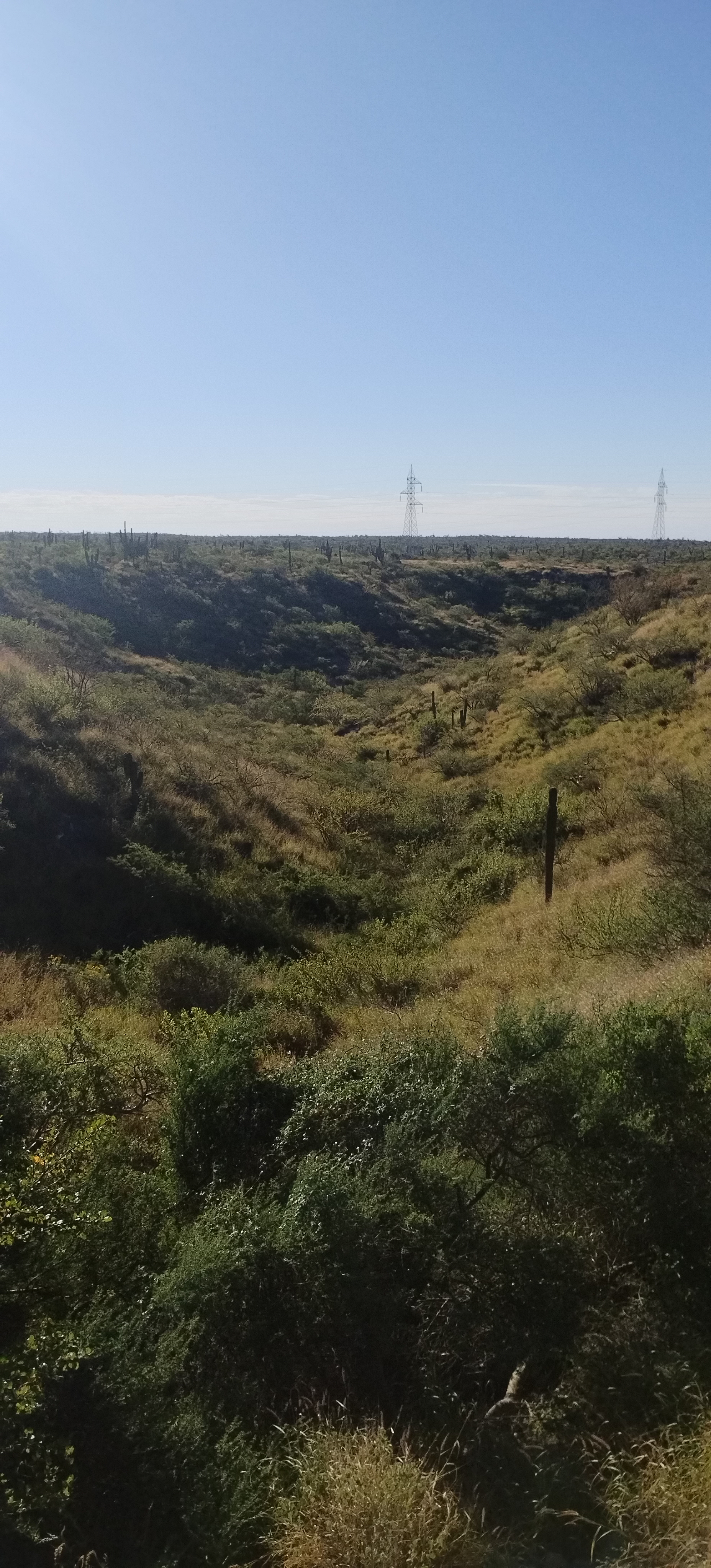 Pendejo amanece en el monte