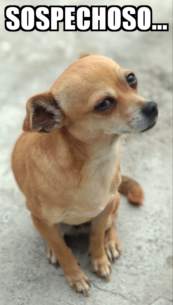 Sospechoso