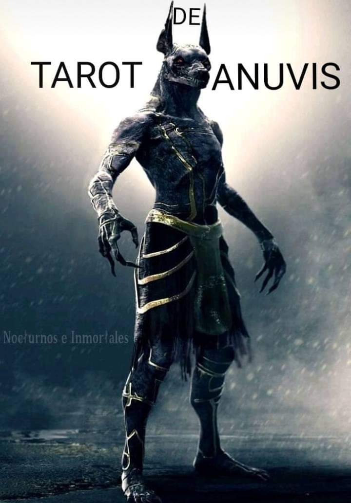 °°°°