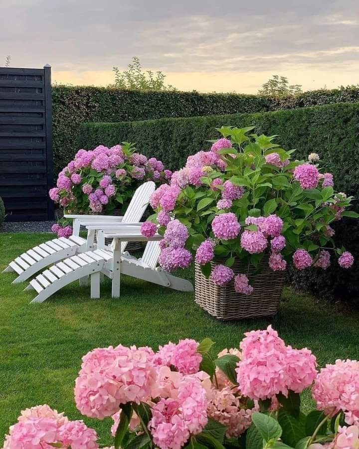 Naturaleza