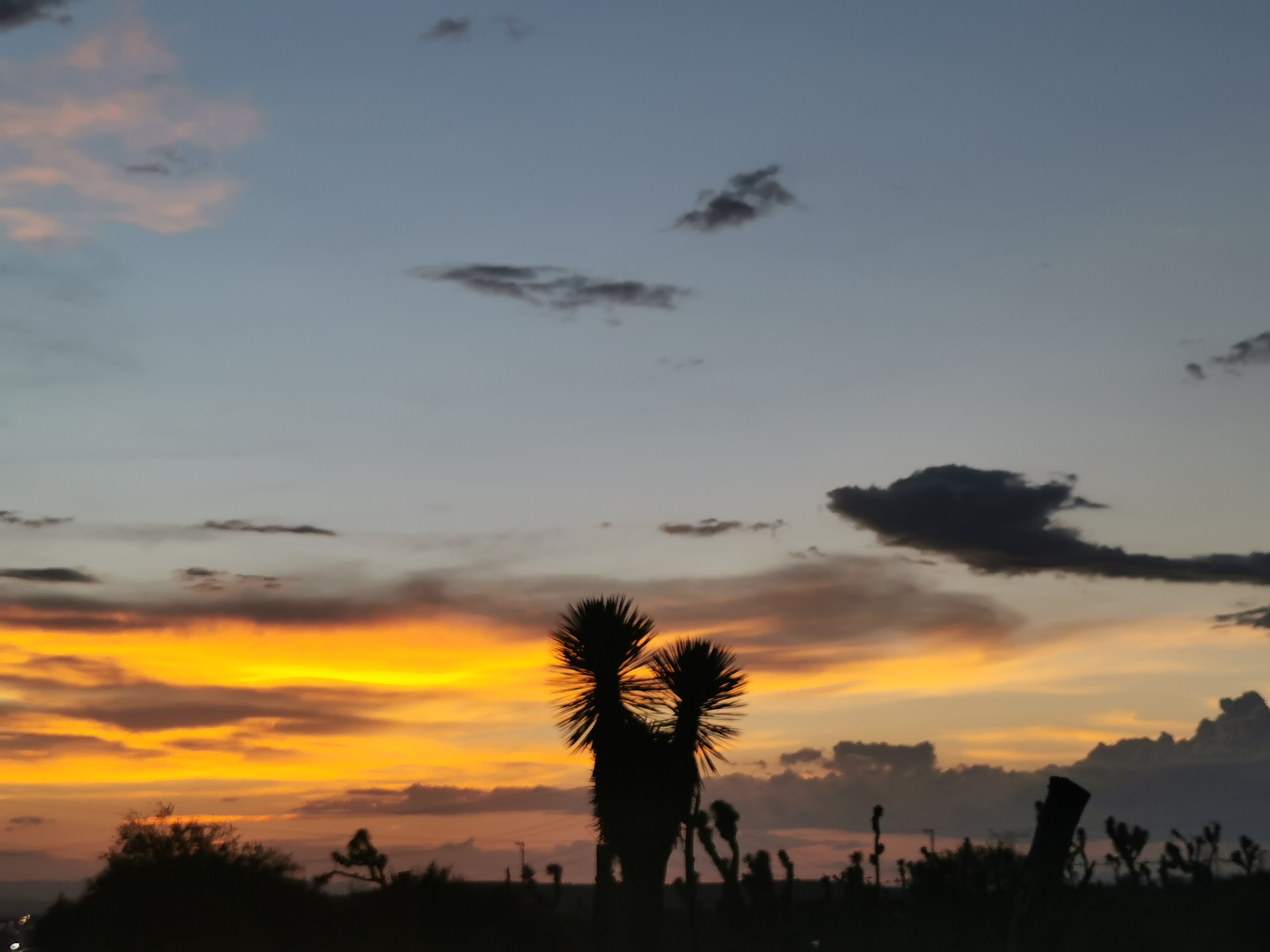 Atardecer