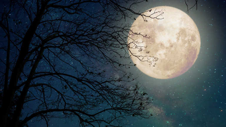 Just the Moon