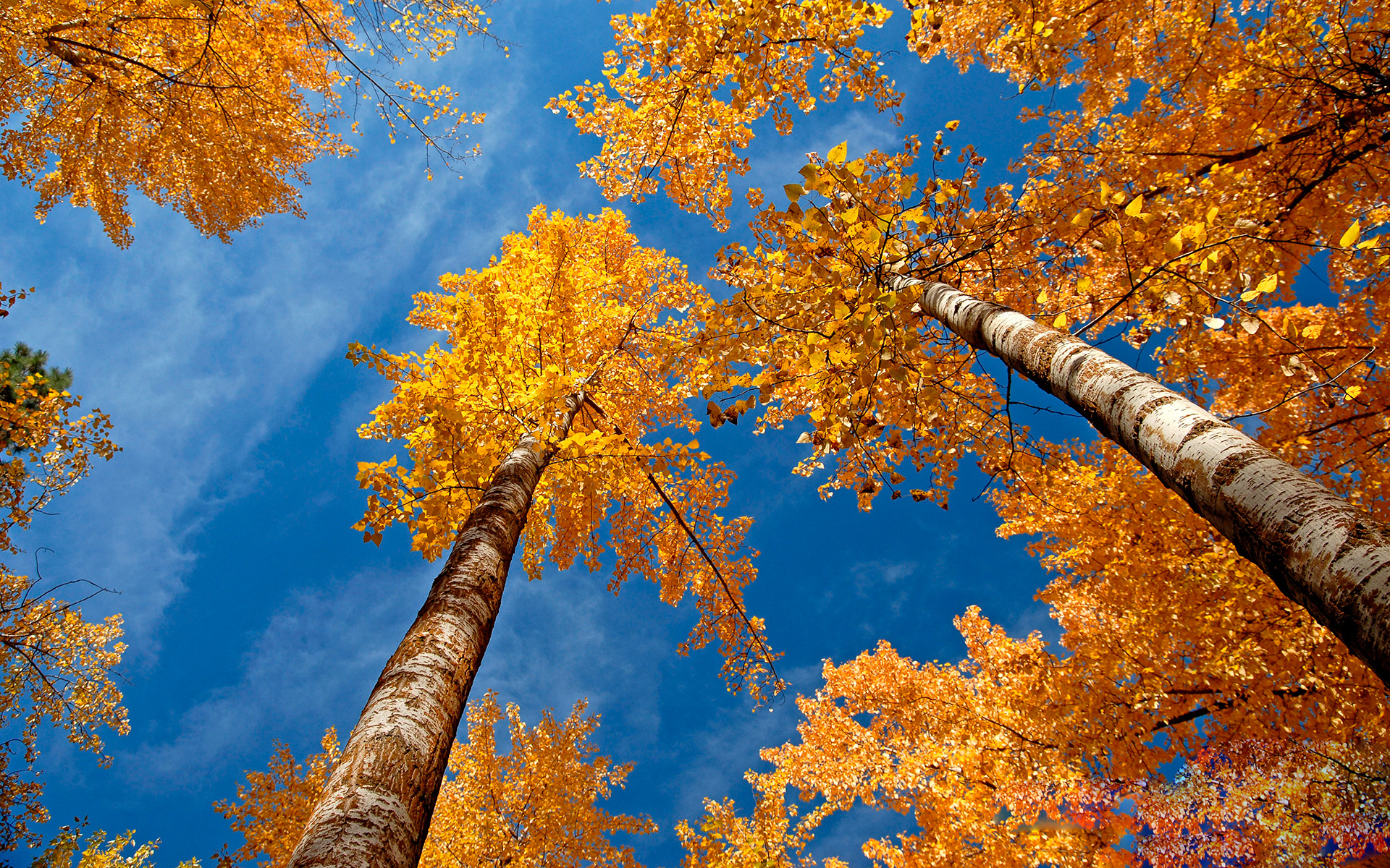 Naturaleza