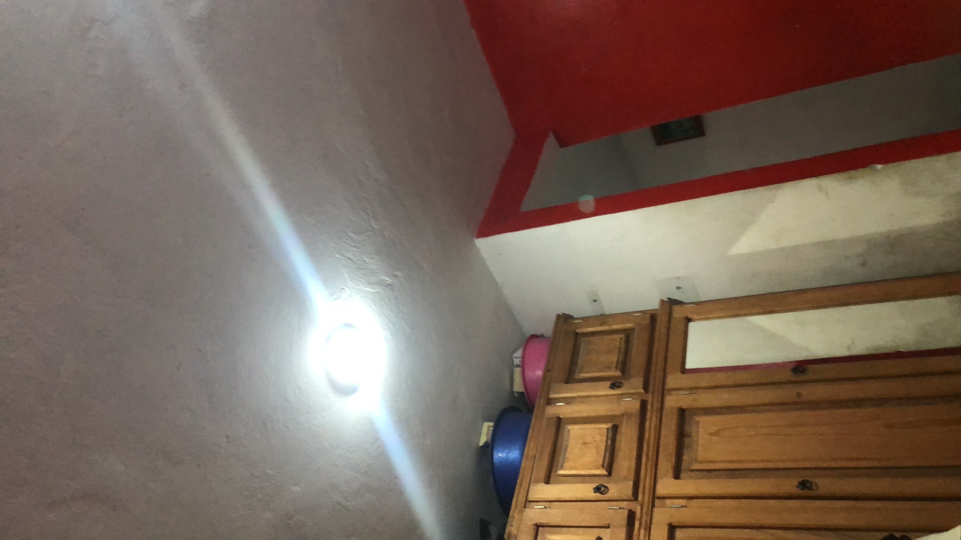 luz