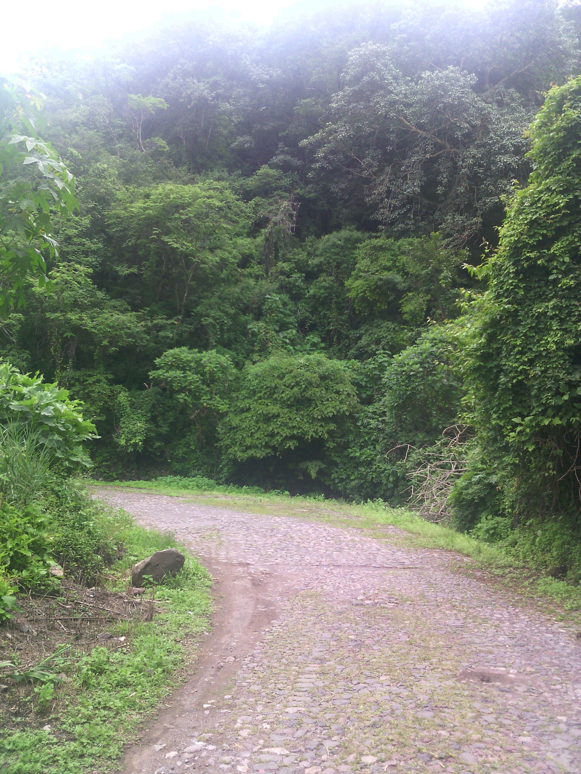 Barranca de huentitan.