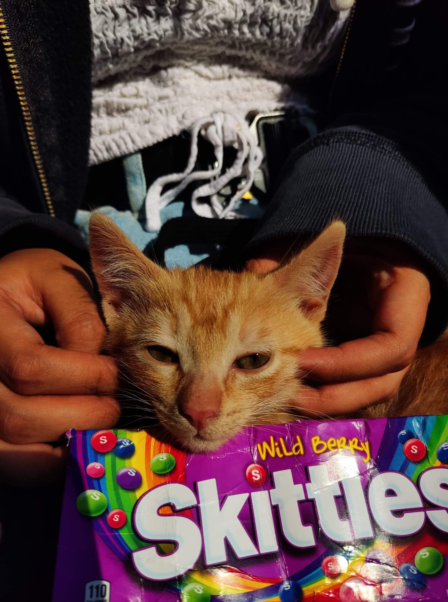Skitt