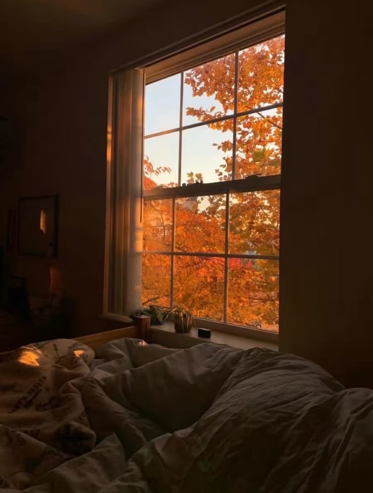 (autumn)