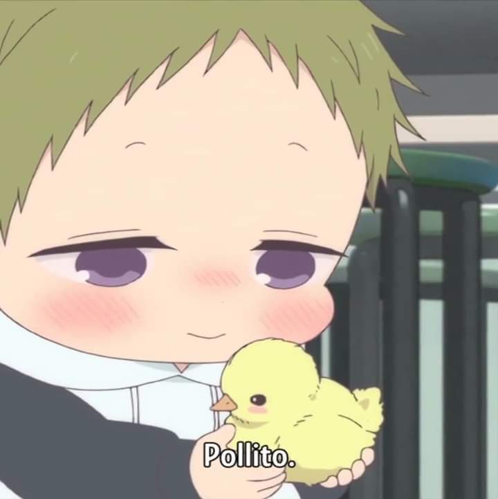 Pollix