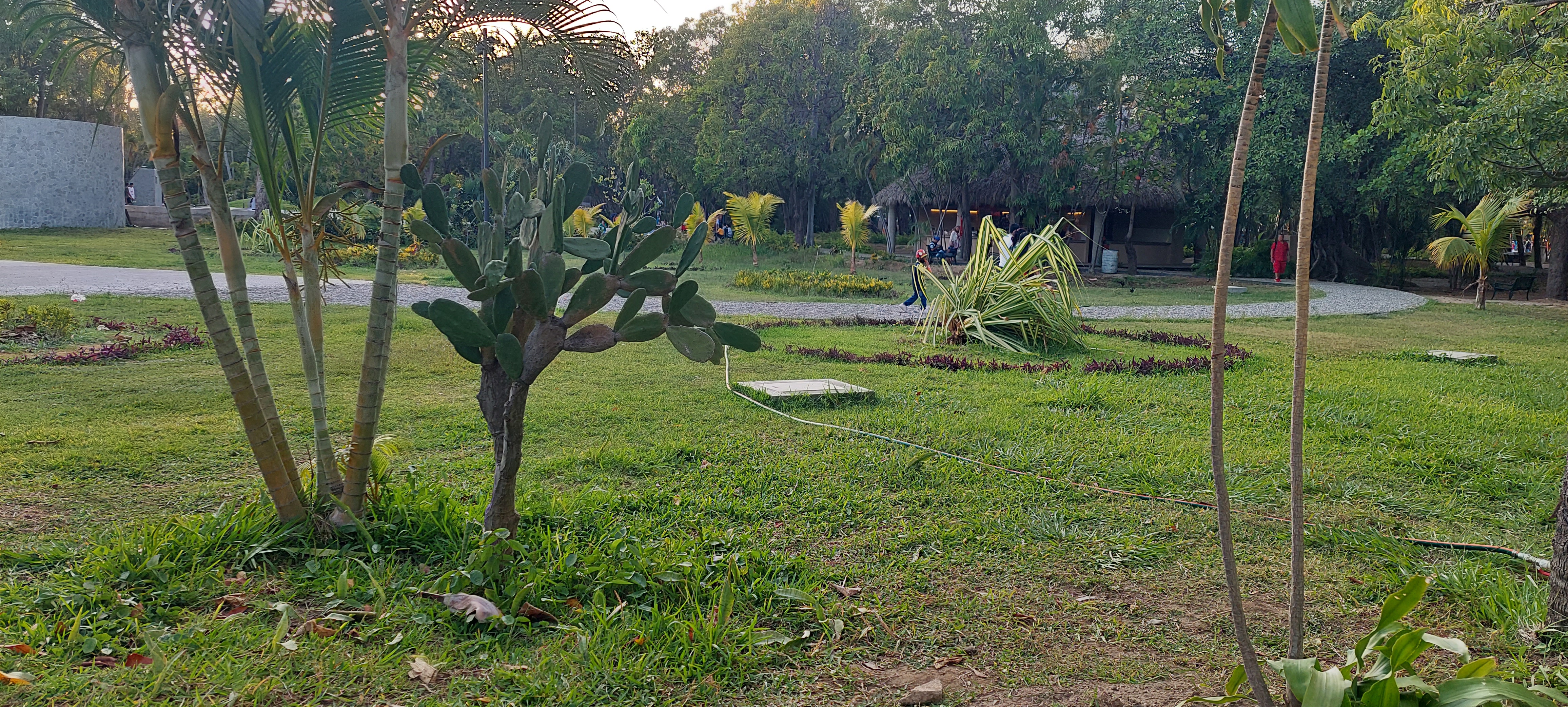 PARQUE PAPAGAYO ACAPULCO GRO.