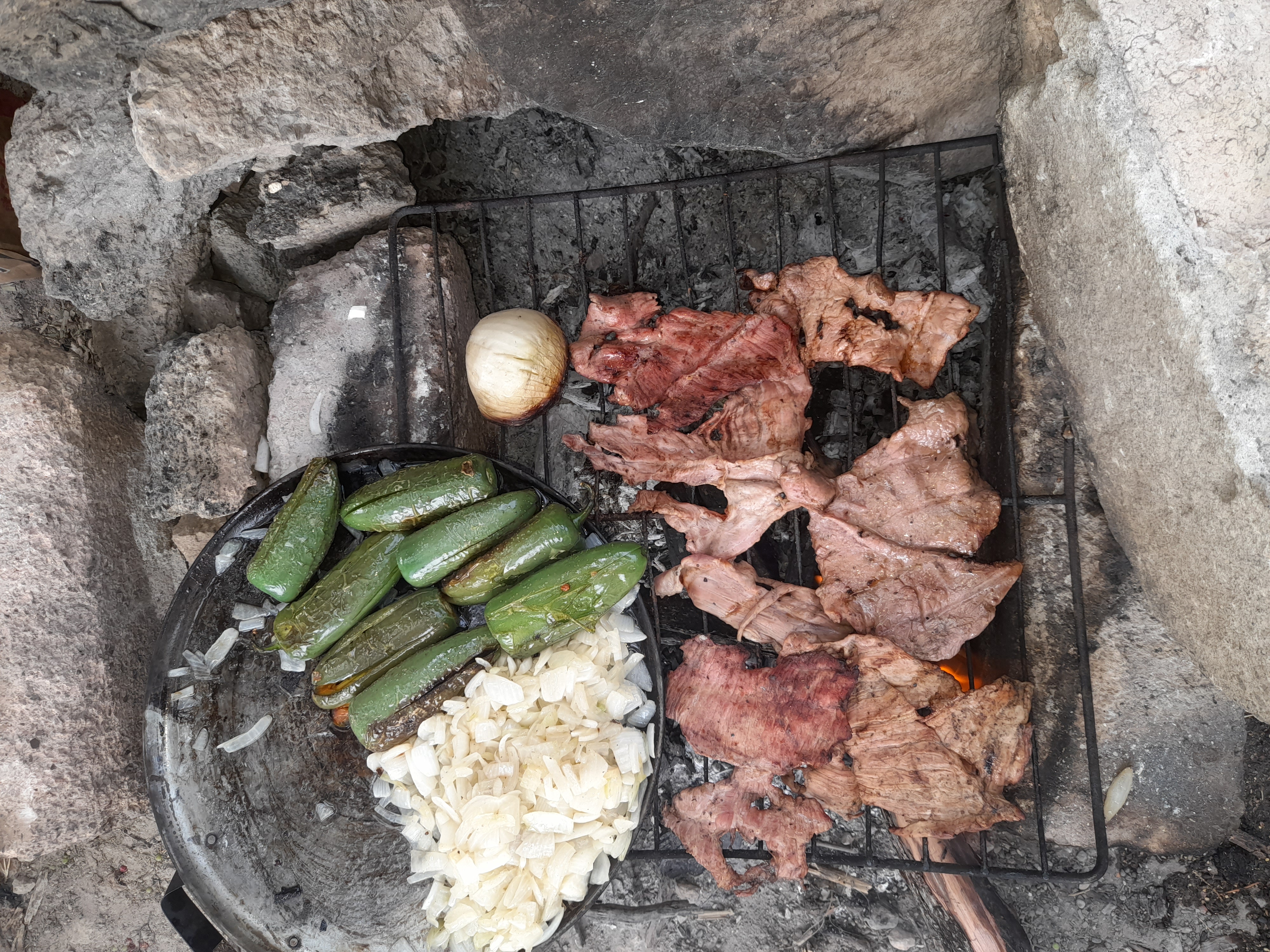 Campo