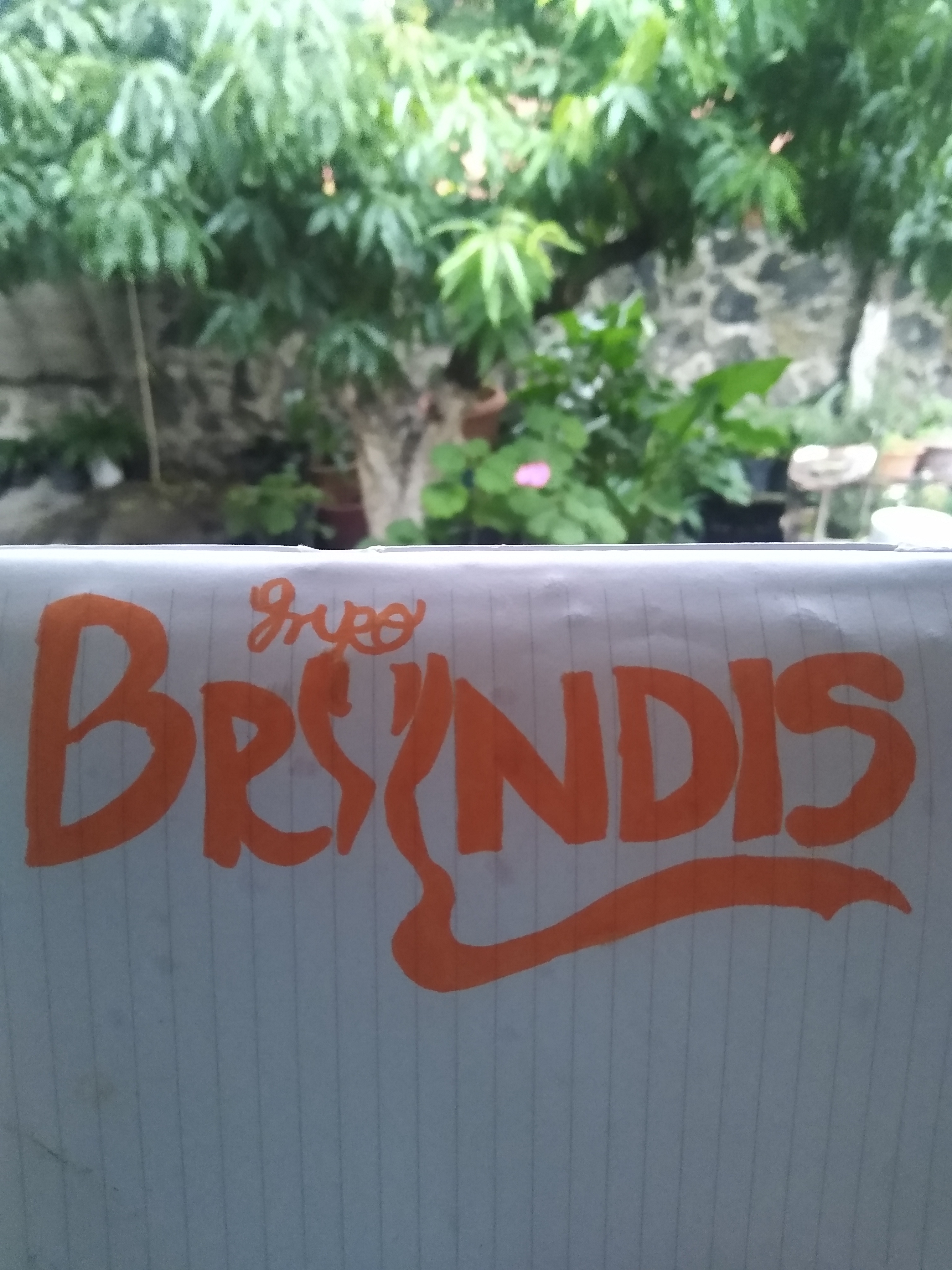 Logo alternativo del grupo Bryndis
