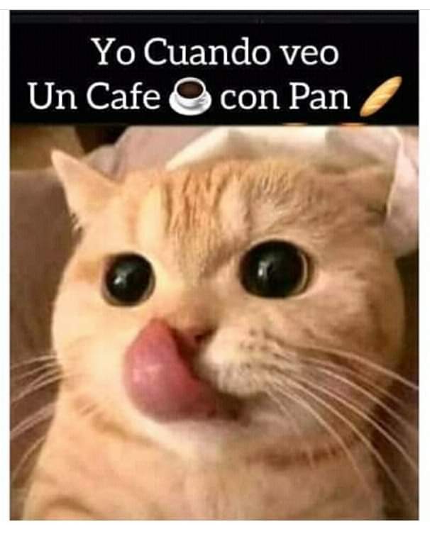 Café y pan