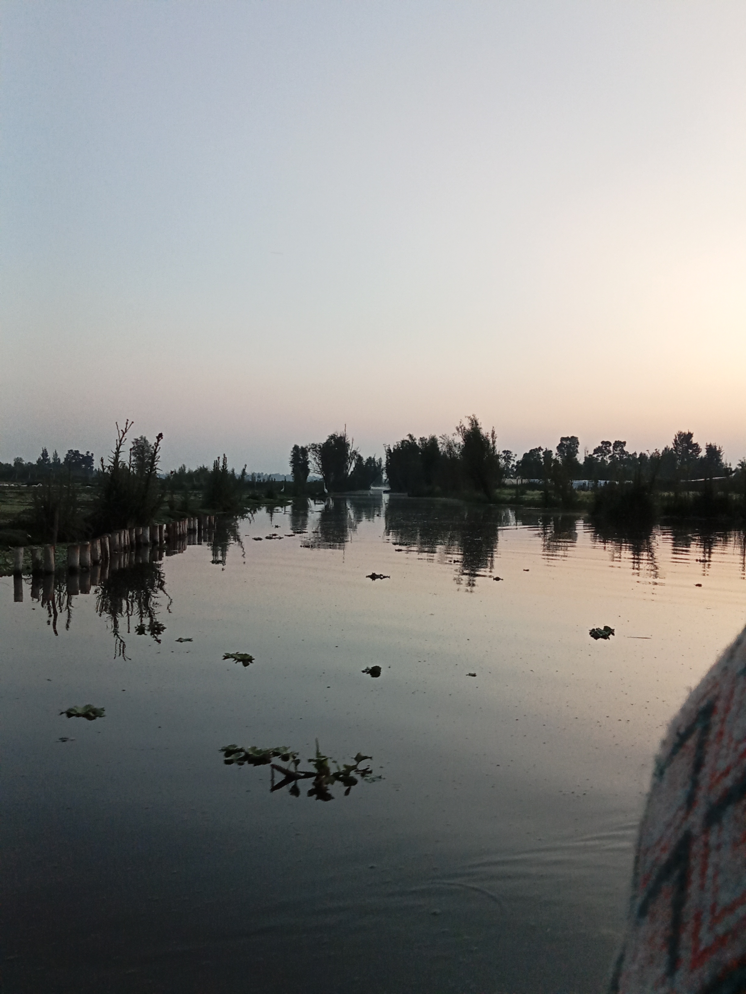 Morning in Xochimilco