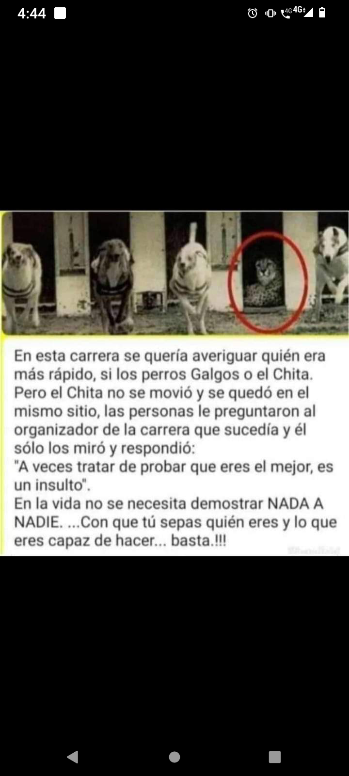 En esta carrera se quería ver