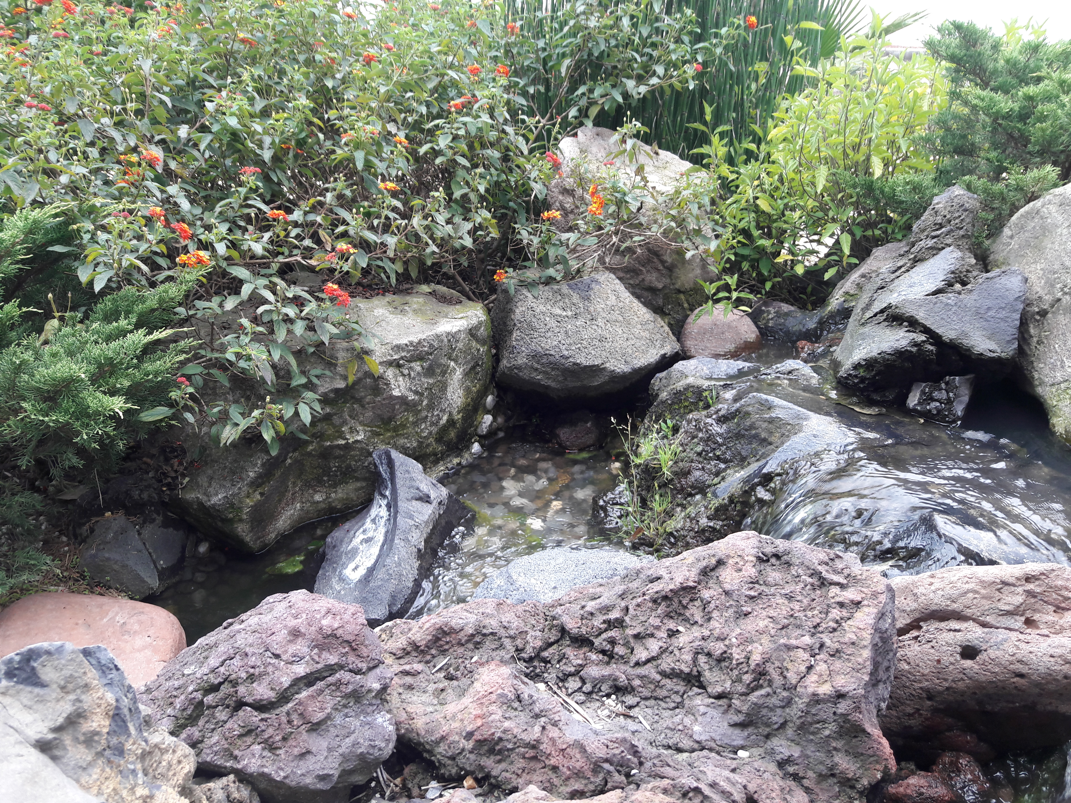 Arroyo.