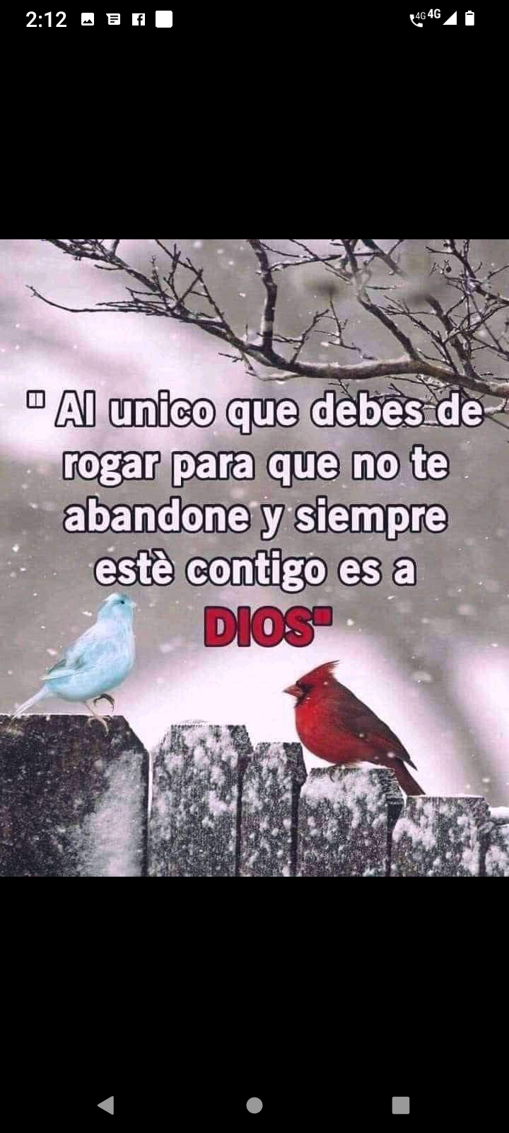 Al único que debes rogar