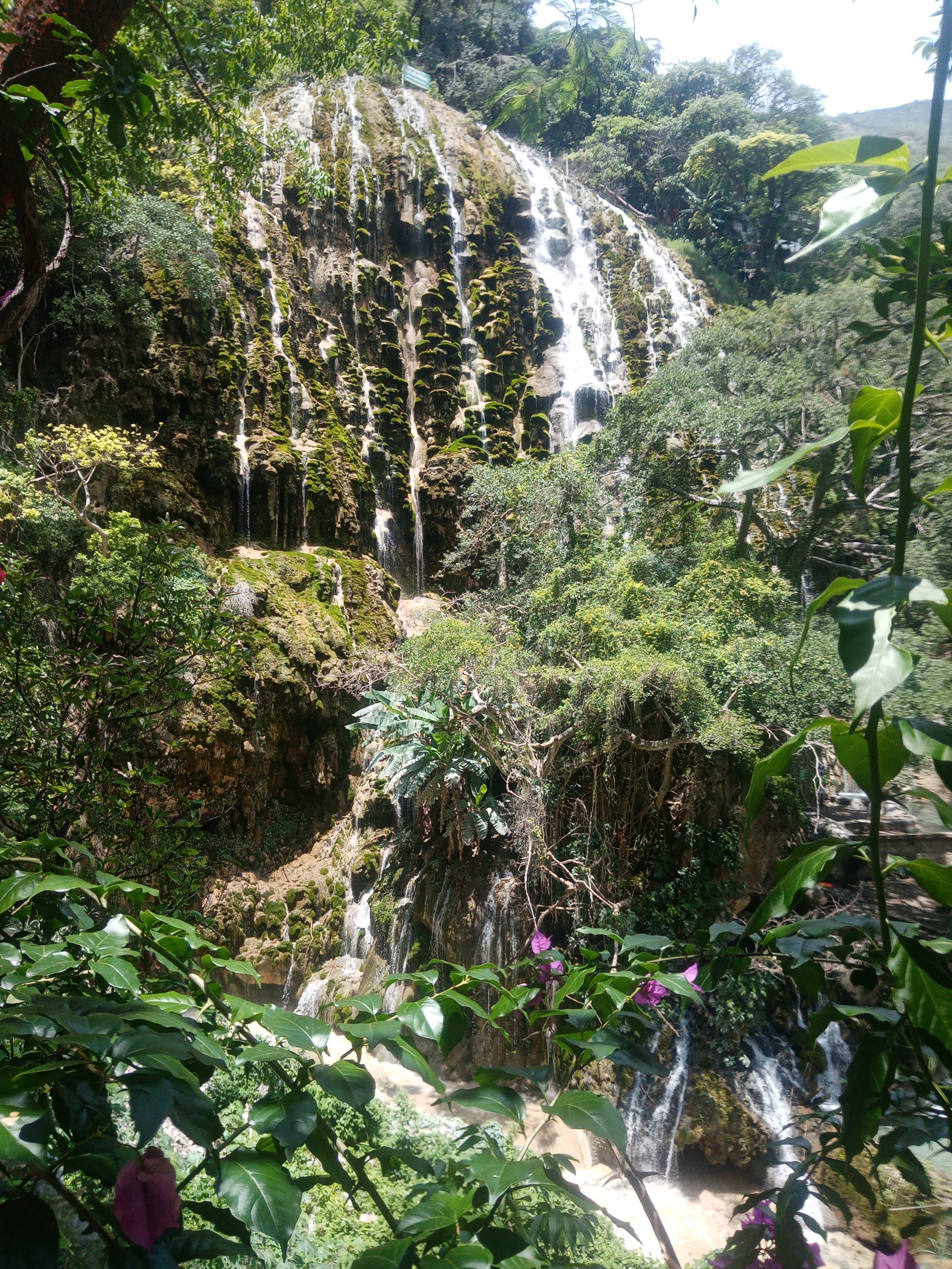 Un hermoso día